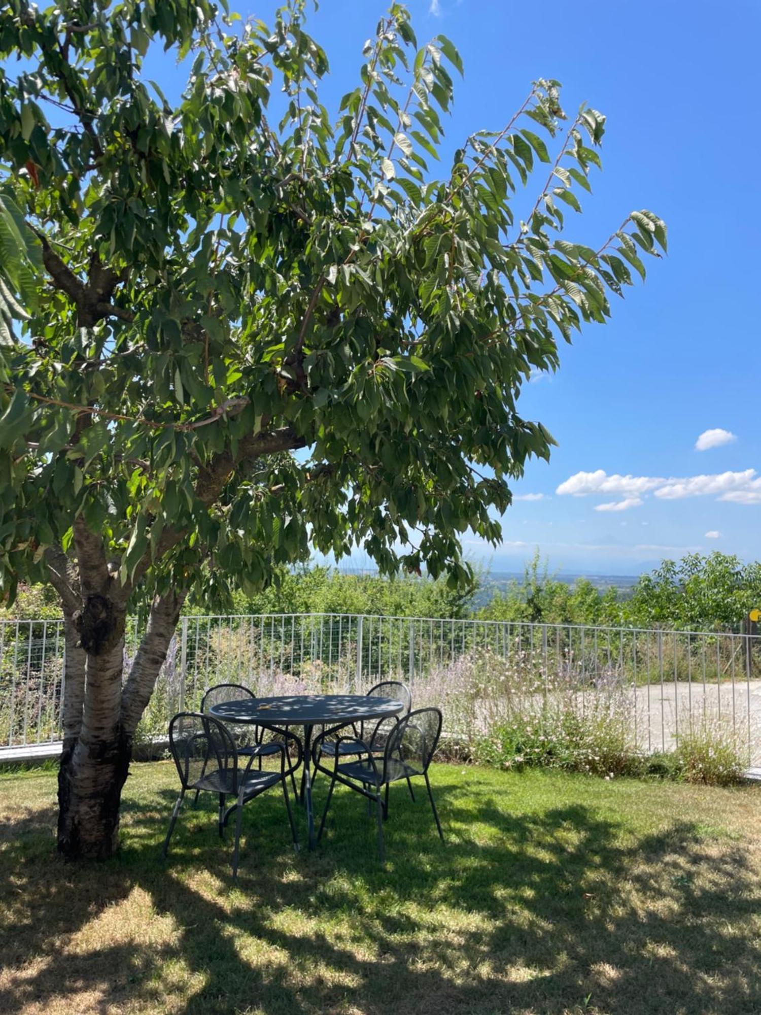 ברולו Agriturismo Le Viole מראה חיצוני תמונה